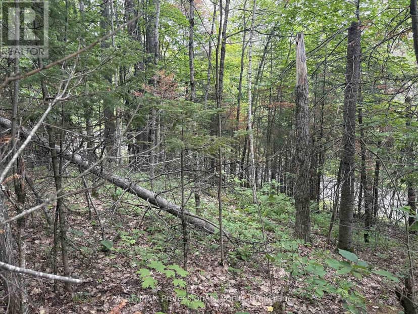 0 Trapper's Trail Road — photo 30 of 30