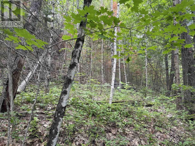 0 Trapper's Trail Road — photo 25 of 30