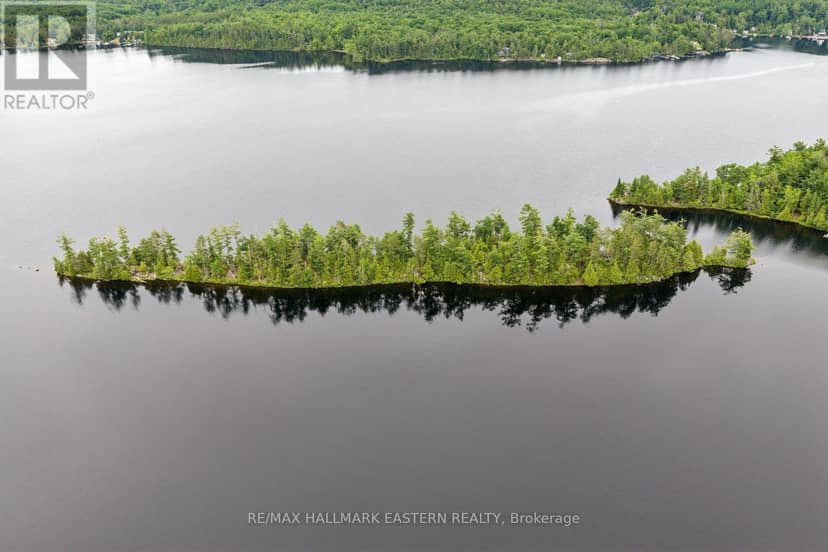 281 String Island S — photo 3 of 14