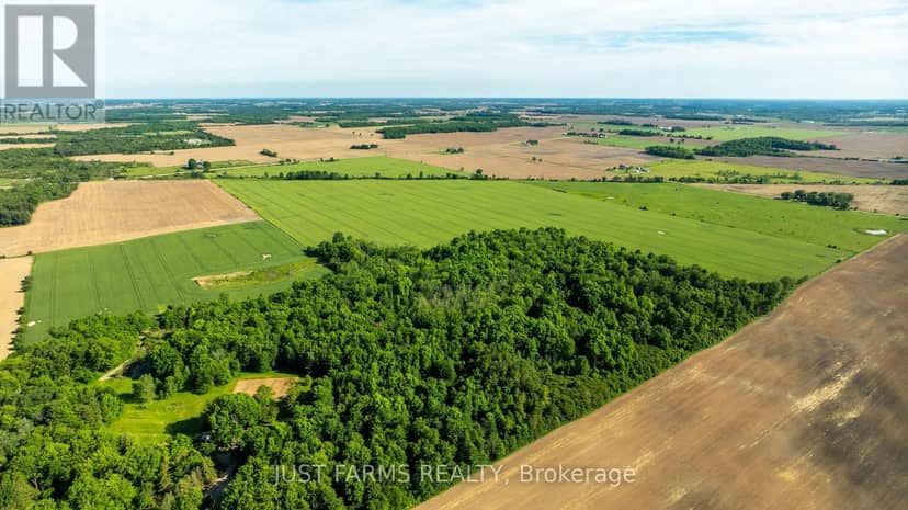 Pt Lt 15 Longwoods Road — photo 11 of 15