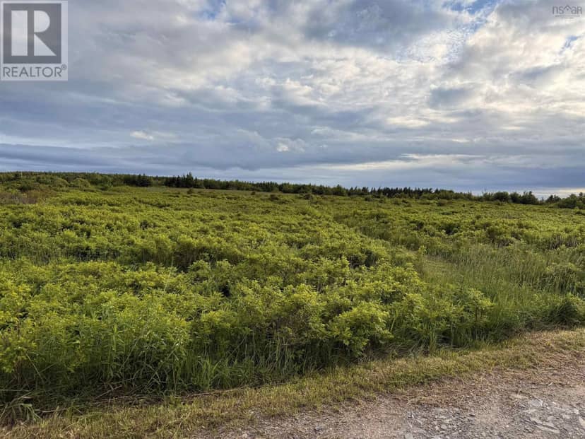 CHEMIN SIMEON AUCOIN Road, St. Joseph du Moine, photo 2