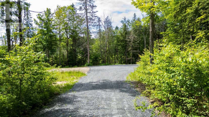 344 North Fox Lake Road — photo 4 of 15