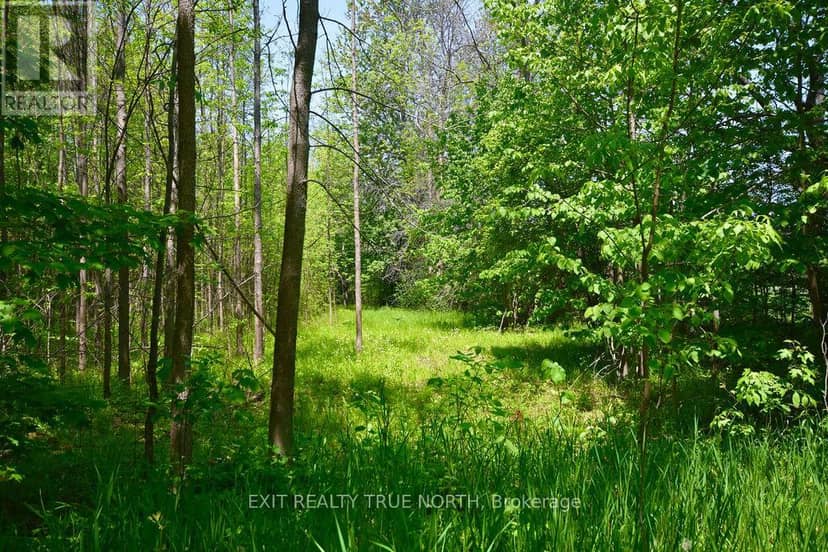 199 3 Concession Road W — photo 13 of 39