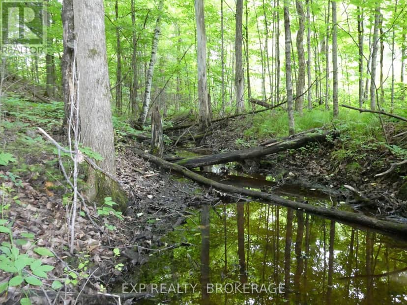 1931 Elm Tree Road — photo 16 of 31