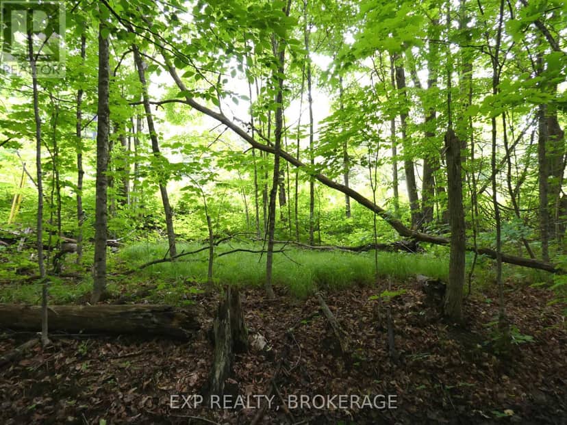 1931 Elm Tree Road — photo 30 of 31