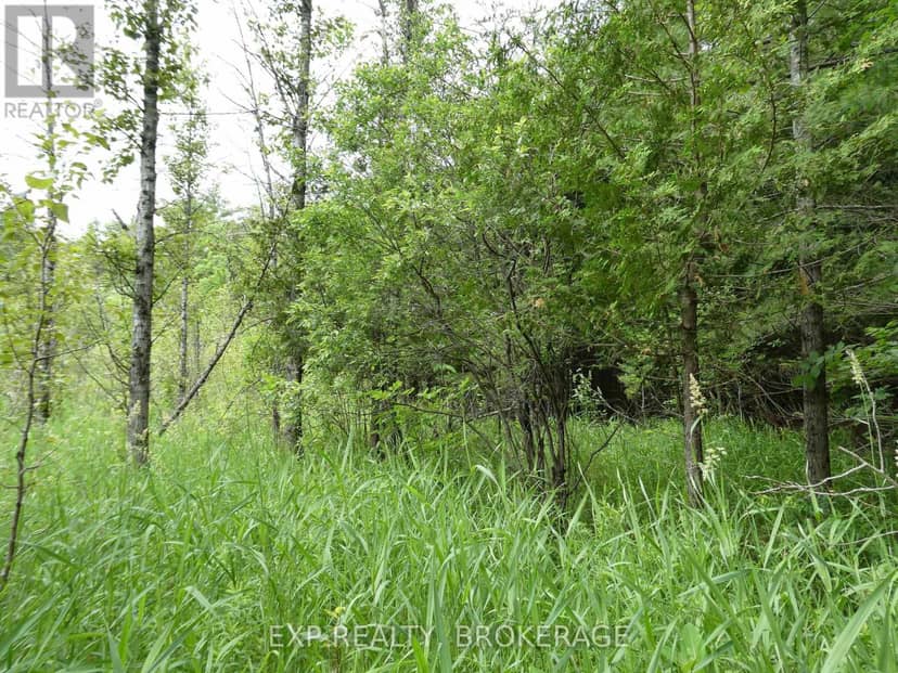 1931 Elm Tree Road — photo 28 of 31