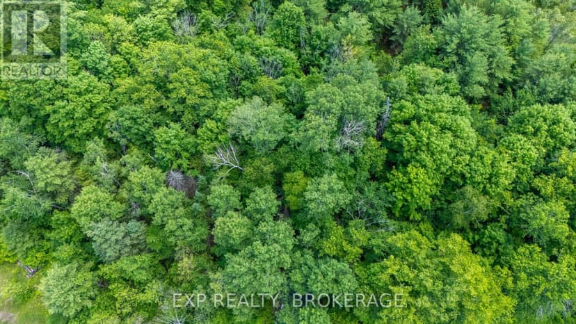 1931 Elm Tree Road — photo 3 of 31