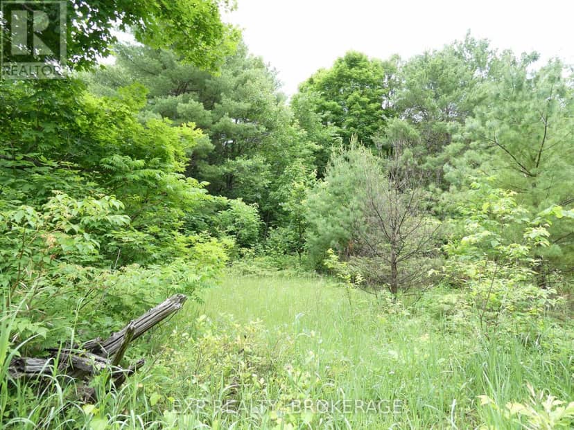 1881 Elm Tree Road — photo 22 of 36