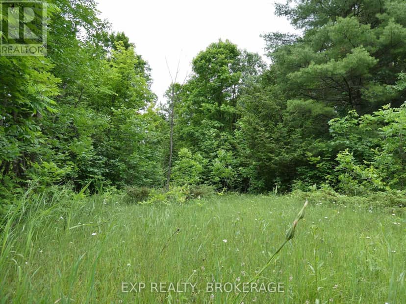 1881 Elm Tree Road — photo 23 of 36