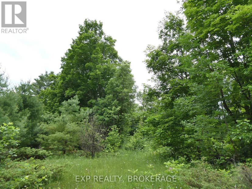 1881 Elm Tree Road — photo 25 of 36
