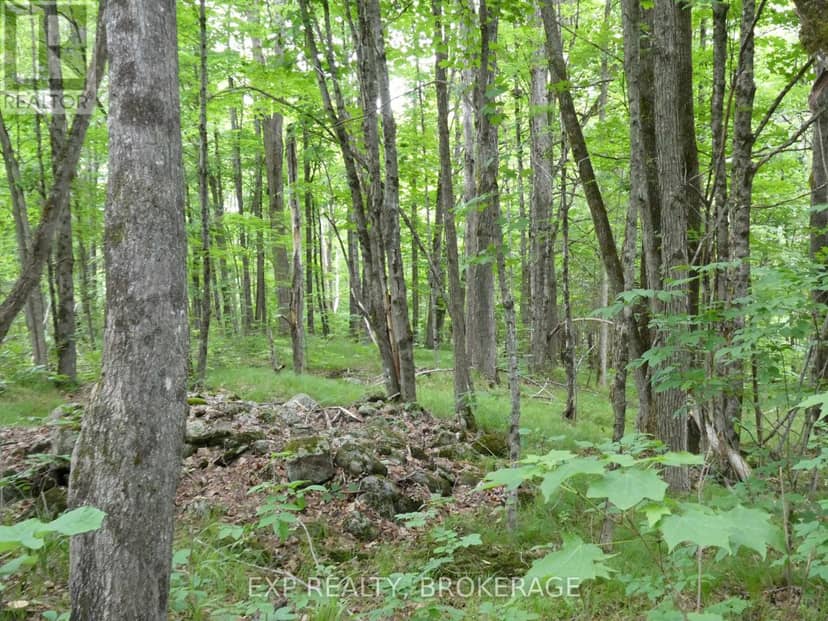 1881 Elm Tree Road — photo 29 of 36