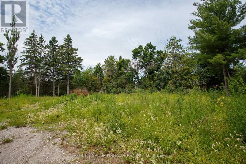 0 Reid Street, Kawartha Lakes, photo 2