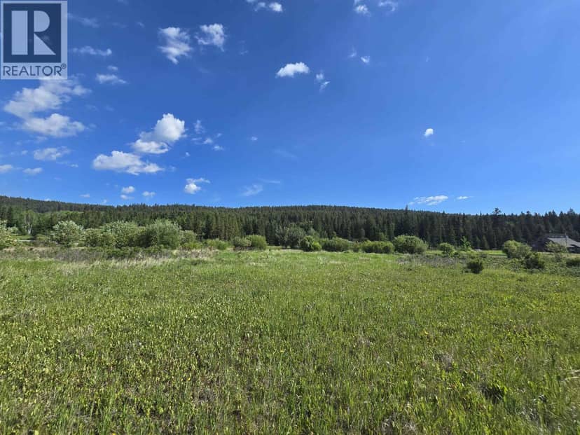 6003 HORSE LAKE ROAD, 100 Mile House, photo 4