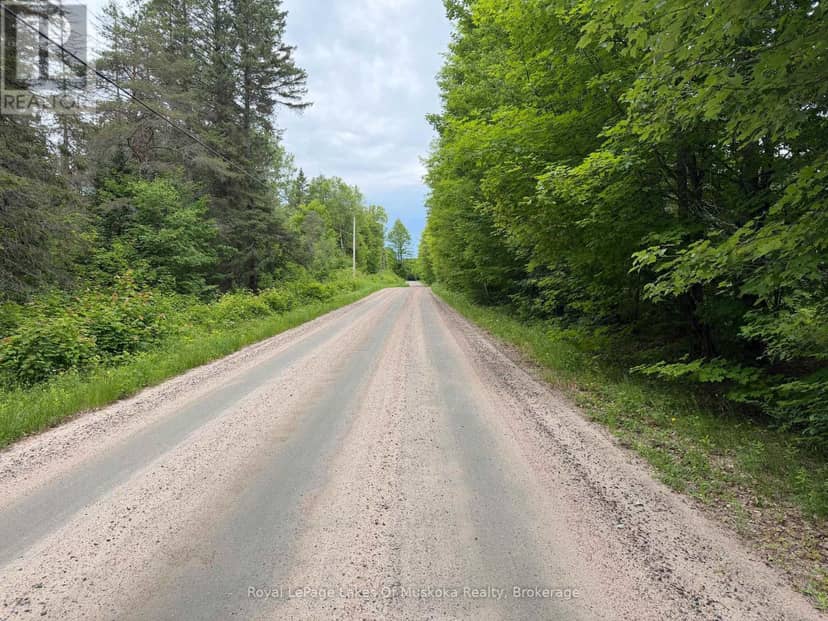 0 Starratt Road, Ryerson, photo 4
