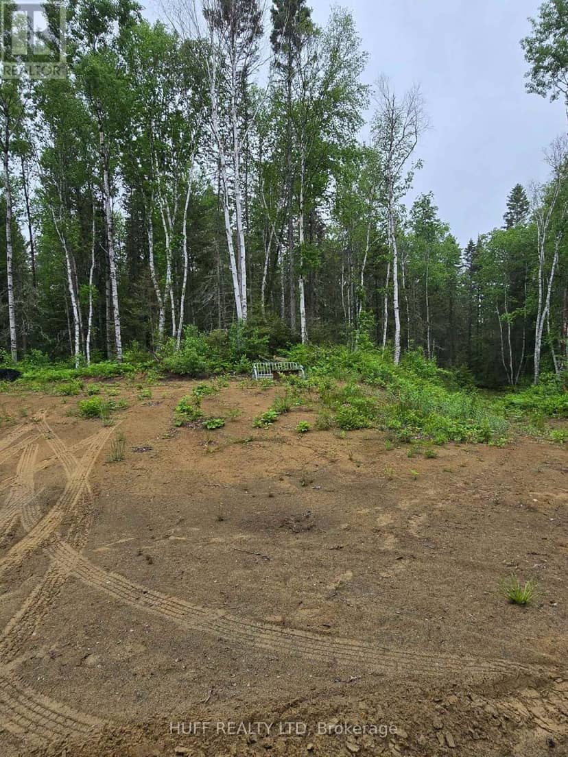 L33207 Mining Claim W — photo 13 of 21