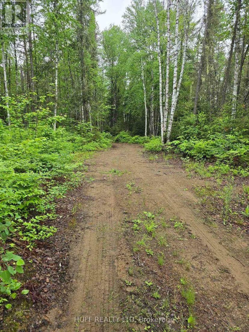 L33207 Mining Claim W, Kirkland Lake, photo 8