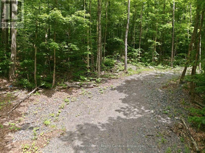 1731 Fraserburg Road, Bracebridge, photo 4