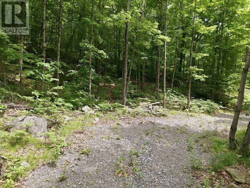 1731 Fraserburg Road, Bracebridge, photo 6
