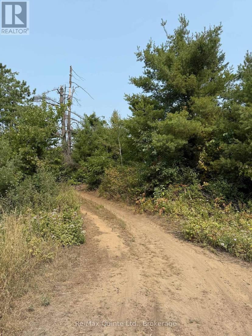 0 Potter Settlement Road — photo 1 of 16
