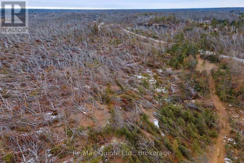 0 Potter Settlement Road — photo 9 of 16