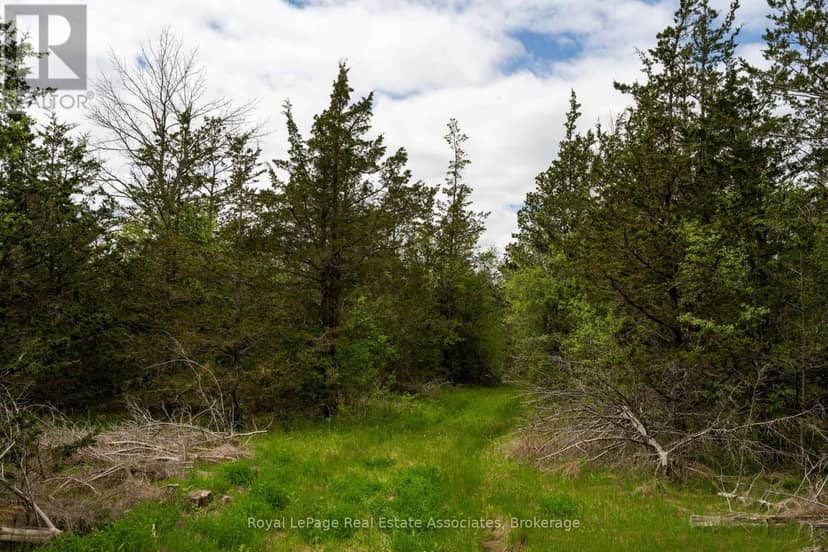 2523 County Rd 15 Road, Prince Edward County, photo 3