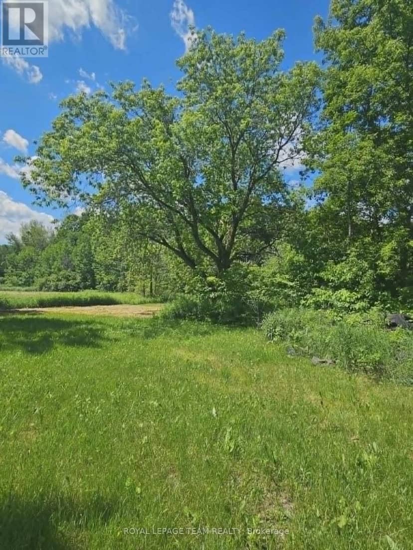 21896 Concession Road 10 Road — photo 10 of 26