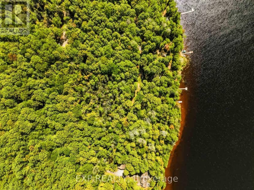 686 East Fox Lake Road, Huntsville, photo 5