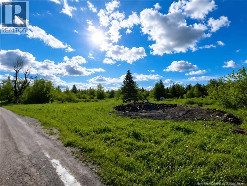 Lot West Side Road, Harcourt, photo 6