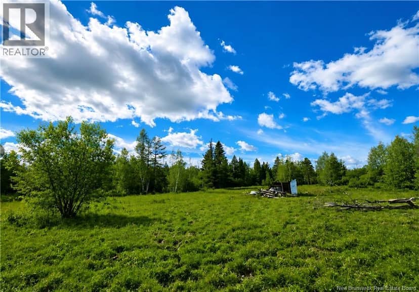Lot West Side Road, Harcourt, photo 3