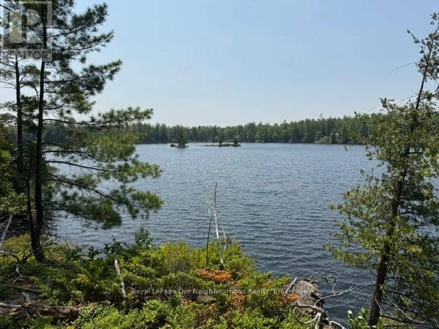 16 Is 12 Cordova Lk Island — photo 17 of 26