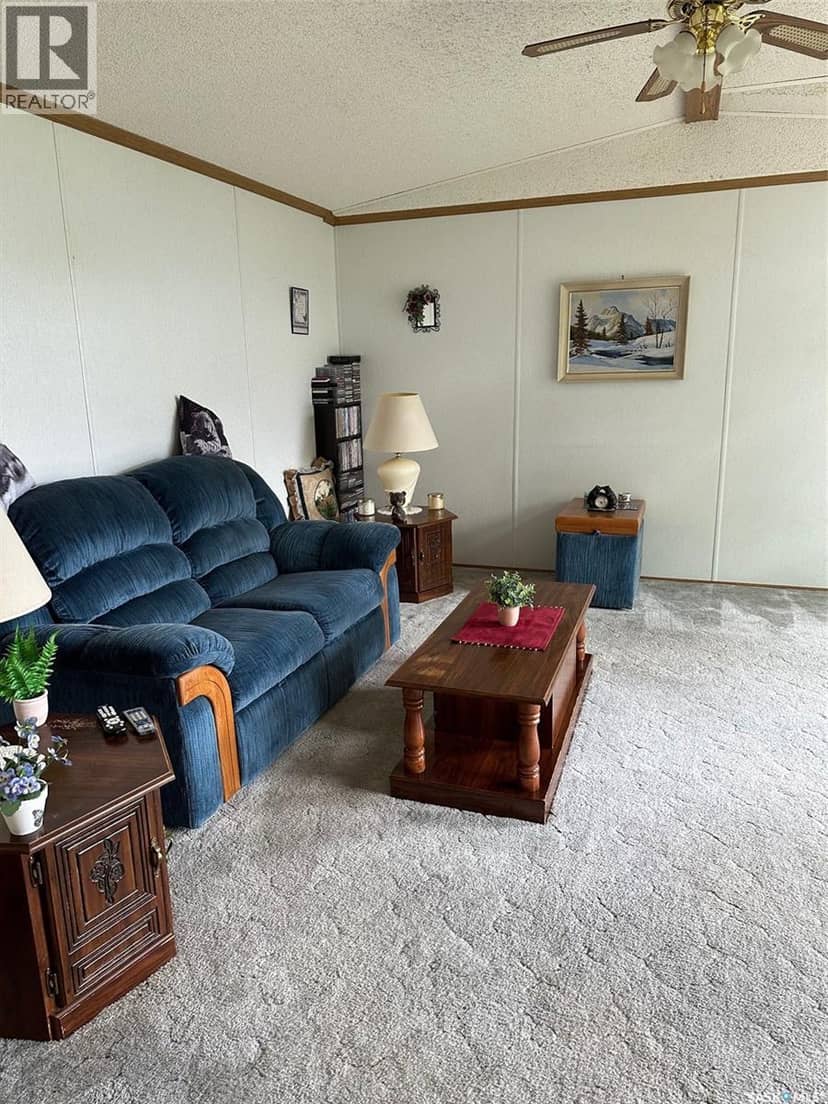 230 Main STREET, Bienfait, photo 4