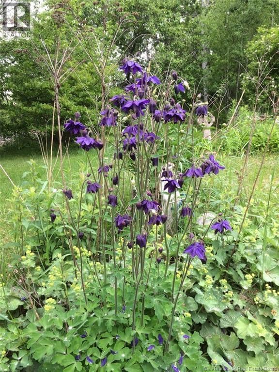 54 Shaw Street — photo 19 of 19
