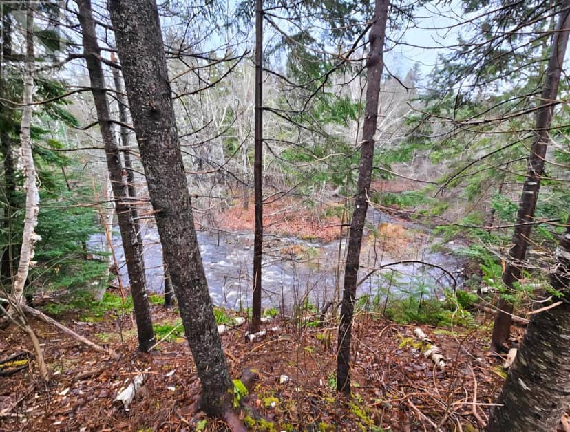 Lot 25-3 Highway #368 — photo 18 of 26