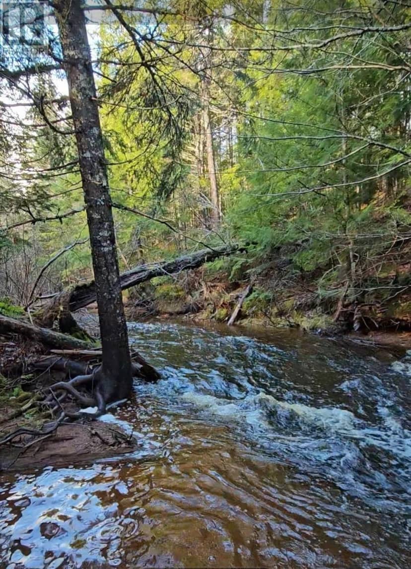 Lot 25-3 Highway #368, Wentworth, photo 8