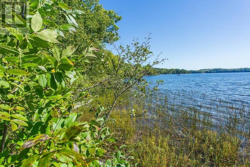 728 Basswood Lake RD — photo 37 of 40