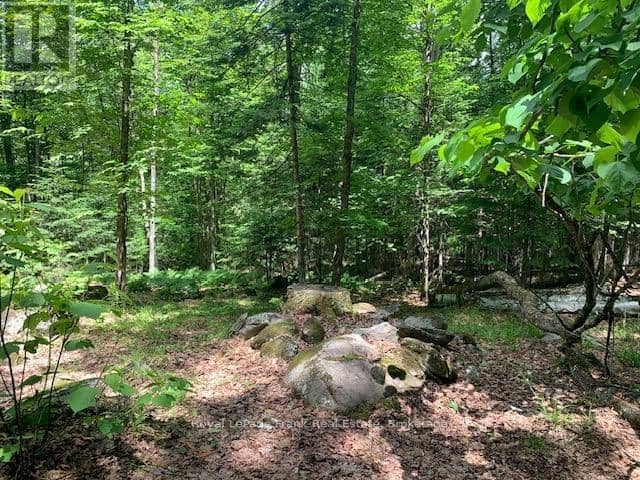 Pt Lt 66 North Drive — photo 11 of 17