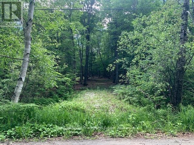 Pt Lt 66 North Drive — photo 14 of 17