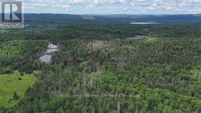 2141 Papineau Road, Papineau-Cameron, photo 7