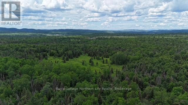2141 Papineau Road — photo 9 of 10