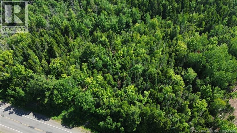 Lot 2022-4 Route 105, Mill Cove, photo 7