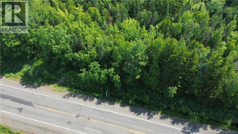 Lot 2022-4 Route 105, Mill Cove, photo 4