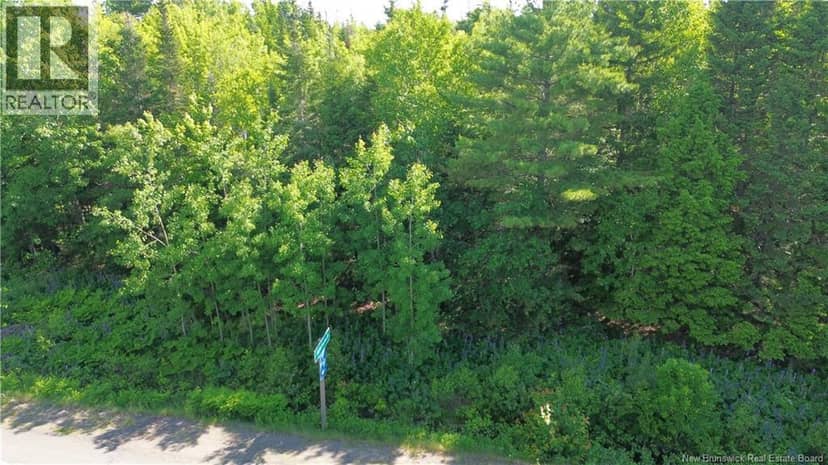 Lot 2022-4 Route 105 — photo 10 of 14