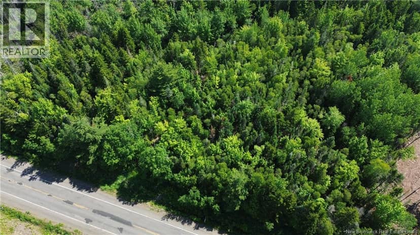 Lot 2022-4 Route 105, Mill Cove, photo 5