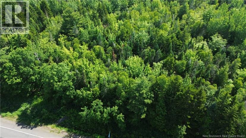 Lot 2022-4 Route 105, Mill Cove, photo 6