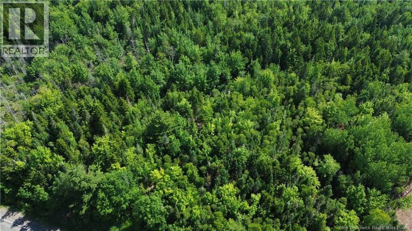 Lot 2022-4 Route 105, Mill Cove, photo 8