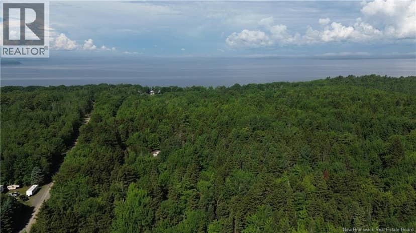 Lot 2022-4 Route 105, Mill Cove, photo 3