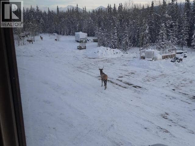 96750 Alaska Highway — photo 13 of 40