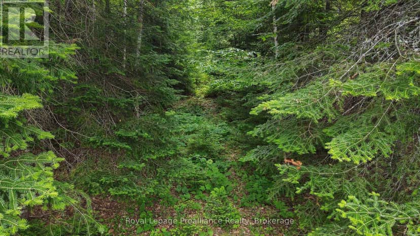 26643 Highway 60 — photo 17 of 18
