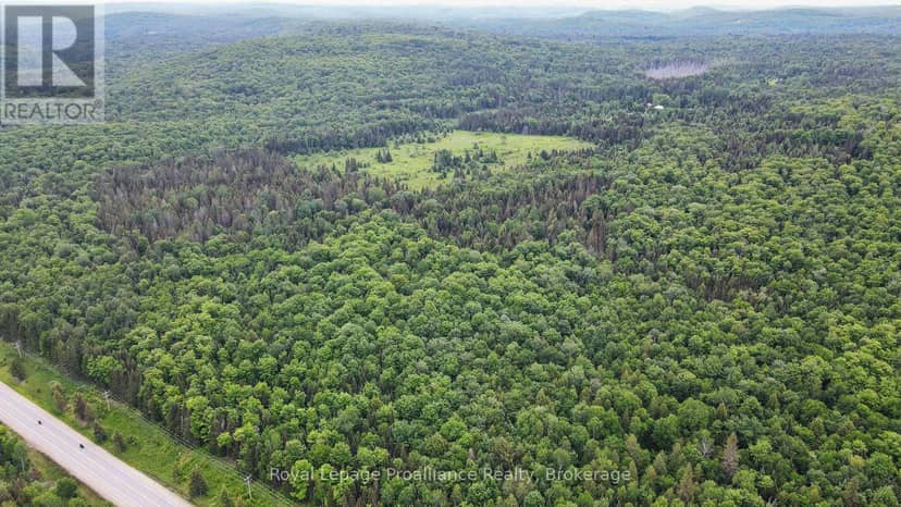 26643 Highway 60, South Algonquin, photo 4