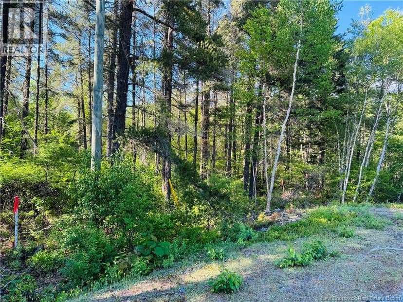 Lot 2026-2 Crystal Drive, Miramichi, photo 2
